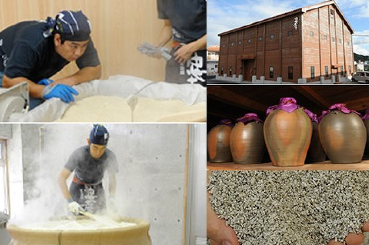 琉球泡盛「忠孝酒造」古酒・新酒の飲み比べ 1升瓶6本セット(BY010-1)