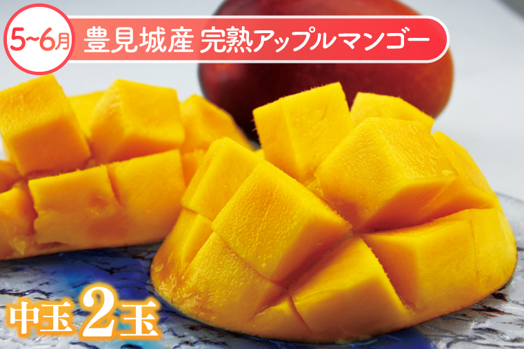 【6回定期便】人気！沖縄フルーツ定期便(年6回)｜フルーツ 果物 くだもの マンゴー キーツマンゴー アップルマンゴー パッションフルーツ スターフルーツ ドラゴンフルーツ バナナ 完熟 沖縄フルーツ 沖縄 沖縄県 豊見城市 人気 名護パイン園 定期便 送料無料(AC020)