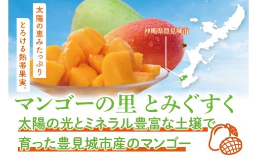 【2026年8月より順次発送】菜々色畑のキーツマンゴー 1～2玉(約900g)【化粧箱】｜マンゴー キーツマンゴー フルーツ 果物 くだもの おきなわマンゴー 先行予約 ギフト 贈り物 化粧箱入り 沖縄県 豊見城市 送料無料(AE014)