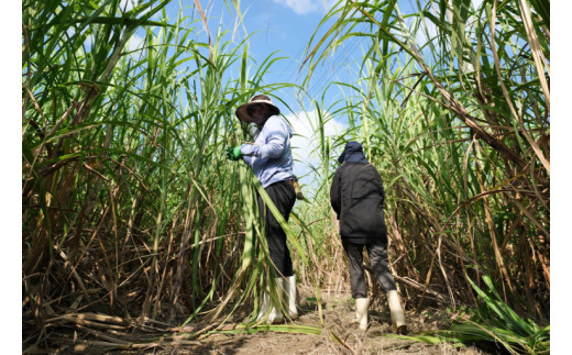 ウージ染めバンブーレーヨンショール｜ストール ショール ウージ染め 沖縄 おきなわ 沖縄県 ウージ 伝統 沖縄県 豊見城市(AI023)