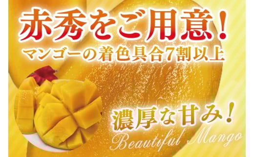 【2026年6月より順次発送】菜々色畑の赤秀アーウィンマンゴー 3～5玉(約2kg)【化粧箱】｜沖縄県 豊見城市 マンゴー アーウィンマンゴー フルーツ 果物 くだもの おきなわマンゴー ギフト 贈り物 化粧箱入り 先行予約(AE004)