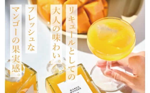 「MANGO WONDER 001」 1本｜酒 お酒 酒類 リキュール マンゴー アップルマンゴー マンゴーリキュール フルーツ 果物 くだもの 果実酒 フルーツ酒 おきなわ 沖縄 沖縄県 豊見城市(DT001)
