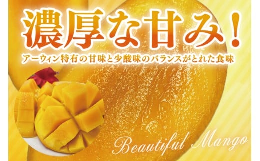 【2026年6月より順次発送】【訳あり】菜々色畑のアーウィンマンゴー 3～5玉(約2kg)【白箱】 ご家庭用｜マンゴー アーウィンマンゴー アーウィン フルーツ 果物 くだもの おきなわマンゴー おきなわ 沖縄県 豊見城市 家庭用(AE011)