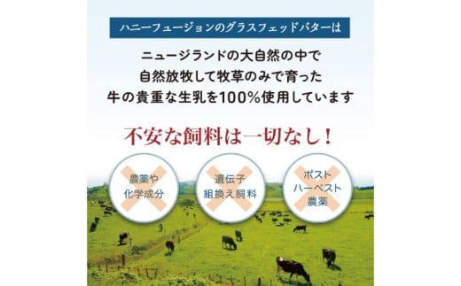 マヌカハニー＆グラスフェッド発酵バター 100g×2個｜はちみつ ハチミツ 蜂蜜 マヌカハニー バター 発酵バター ビタミン カルシウム お土産 ギフト プレゼント お祝い 人気 沖縄 沖縄県 豊見城市(DK002)