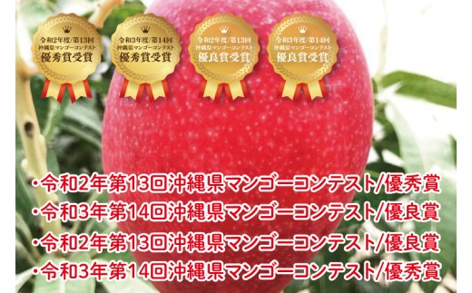 【2026年6月より順次発送】菜々色畑の赤秀アーウィンマンゴー 3～4玉(約1.5kg)【化粧箱】｜沖縄県 豊見城市 マンゴー アーウィンマンゴー フルーツ 果物 くだもの おきなわマンゴー ギフト 贈り物 化粧箱入り 先行予約(AE003)