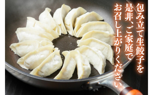 新琉流生餃子 計80個(20個入り×4パック)｜餃子 ぎょうざ ギョウザ 工場直売 国産 簡単 生餃子 生ぎょうざ おきなわ 沖縄 沖縄県 豊見城市 人気 送料無料(AY006)