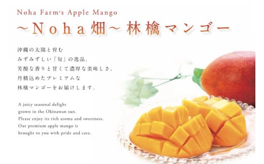 【2026年6月下旬より順次発送】★数量限定★沖縄県最優秀県知事賞に3度輝いた! ★秀品★沖縄マンゴー約1kg(2?3玉)｜マンゴー 果物 フルーツ くだもの 先行予約 沖縄 沖縄フルーツ 秀品 数量限定 沖縄県 沖縄県産 豊見城市(BV008-1)