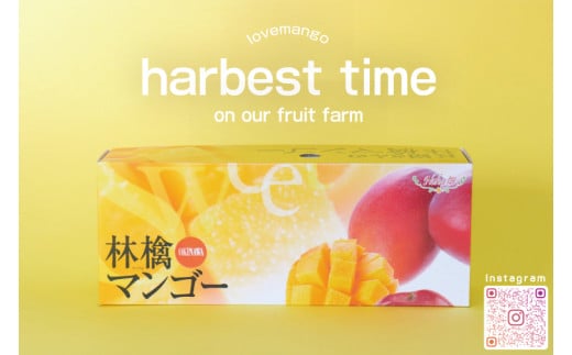 【2026年6月下旬より順次発送】マンゴーの里！豊見城市産♪あま?い♪アップルマンゴー 約2kg(3～6玉)(家庭用)｜マンゴー アップルマンゴー フルーツ 果物 くだもの 先行予約 沖縄 おきなわ 沖縄県 豊見城市 先行予約(BV007-1)