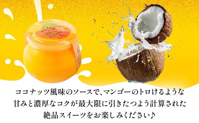 とろなまマンゴープリン(100g×6個入り) AC016-1
