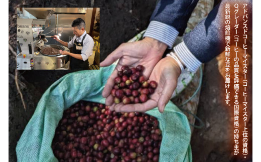 KINGDOM COFFEE BY ROYAL PROJECT(キングダム　コーヒー　バイ　ロイヤルプロジェクト）約200g｜コーヒー 珈琲 焙煎 マイスター コーヒー 豆 コーヒーマイスター(CO001)