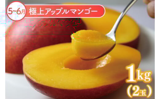 【6回定期便】豊見城 極上フルーツ定期便(全6回)｜フルーツ くだもの 果物 沖縄フルーツ マンゴー バナナ パッションフルーツ アテモヤ アップルマンゴー ドラゴンフルーツ キーツマンゴー 定期便 フルーツ定期便 沖縄県 豊見城市 人気 送料無料(AC023)