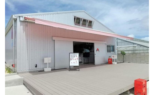 ごろっとイチゴとなめらかプリン&ごろっとイチゴとレアチーズセット｜プリン ぷりん ケーキ スイーツ デザート イチゴ いちご 苺 レアチーズケーキ チーズケーキ プレゼント ギフト 贈り物 人気 沖縄 沖縄県 豊見城市(AX002-1)