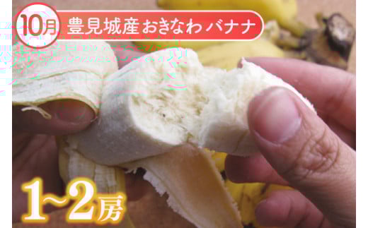 【2026年8月より順次発送】【3ヶ月定期便】沖縄フルーツ定期便(8・9・10月コース)｜フルーツ くだもの 果物 マンゴー キーツマンゴー ドラゴンフルーツ バナナ 名護パイン園 定期便 フルーツ定期便 沖縄フルーツ 先行予約 おきなわ 沖縄県 豊見城市(AC017)