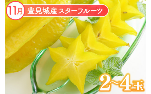 【2026年9月より順次発送】【3回定期便】沖縄フルーツ定期便（9・10・11月コース）｜フルーツ くだもの 果物 スターフルーツ ドラゴンフルーツ バナナ 名護パイン園 定期便 フルーツ定期便 沖縄フルーツ 先行予約 おきなわ 沖縄県 豊見城市(AC018)