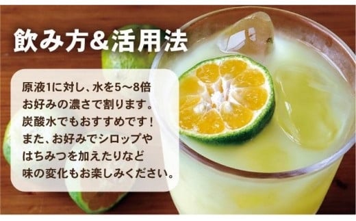 沖縄県産100％シークヮーサー12本(AS010-1)