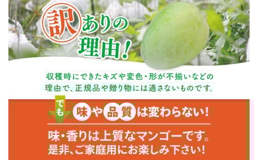 【2026年8月より順次発送】【訳あり】菜々色畑のキーツマンゴー 3～7玉(約2.5kg)【白箱】ご家庭用｜訳あり わけあり 訳アリ キーツマンゴー マンゴー キーツ フルーツ 果物 くだもの おきなわマンゴー 家庭用 沖縄県 豊見城市(AE017)