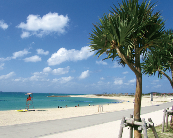 CC005　沖縄県豊見城市ANAトラベラーズダイナミックパッケージクーポン30,000点分