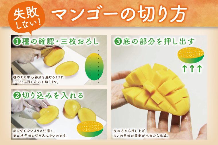 【2026年8月より順次発送】菜々色畑のキーツマンゴー 1～2玉(約900g)【化粧箱】｜マンゴー キーツマンゴー フルーツ 果物 くだもの おきなわマンゴー 先行予約 ギフト 贈り物 化粧箱入り 沖縄県 豊見城市 送料無料(AE014)