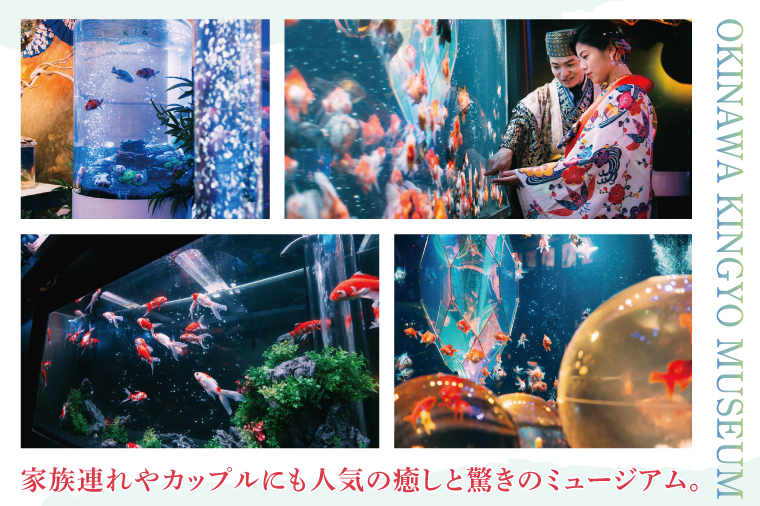 沖縄金魚ミュージアム入場券　幼児1名｜観光 チケット 沖縄金魚ミュージアム 金魚 あしびなー 沖縄 豊見城（DN003）