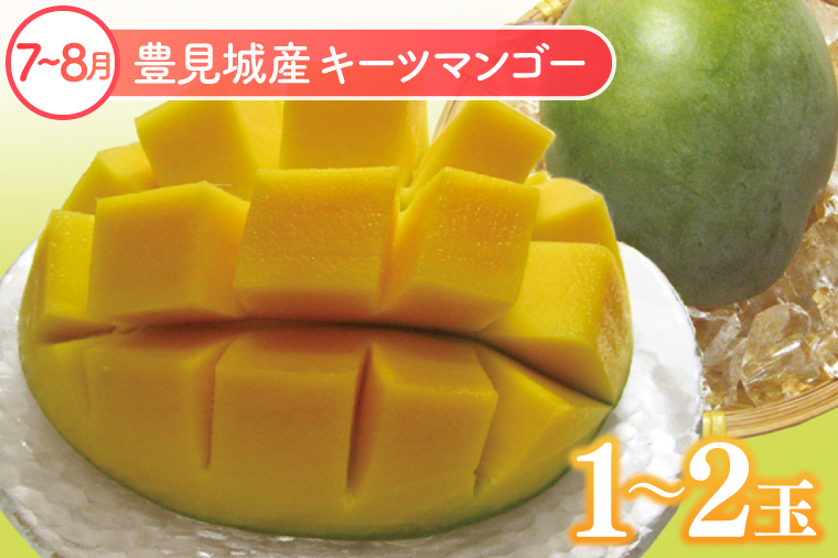 【6回定期便】人気！沖縄フルーツ定期便(年6回)｜フルーツ 果物 くだもの マンゴー キーツマンゴー アップルマンゴー パッションフルーツ スターフルーツ ドラゴンフルーツ バナナ 完熟 沖縄フルーツ 沖縄 沖縄県 豊見城市 人気 名護パイン園 定期便 送料無料(AC020)