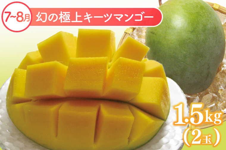 【6回定期便】豊見城 極上フルーツ定期便(全6回)｜フルーツ くだもの 果物 沖縄フルーツ マンゴー バナナ パッションフルーツ アテモヤ アップルマンゴー ドラゴンフルーツ キーツマンゴー 定期便 フルーツ定期便 沖縄県 豊見城市 人気 送料無料(AC023)