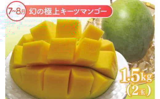 【6回定期便】豊見城 極上フルーツ定期便(全6回)｜フルーツ くだもの 果物 沖縄フルーツ マンゴー バナナ パッションフルーツ アテモヤ アップルマンゴー ドラゴンフルーツ キーツマンゴー 定期便 フルーツ定期便 沖縄県 豊見城市 人気 送料無料(AC023)