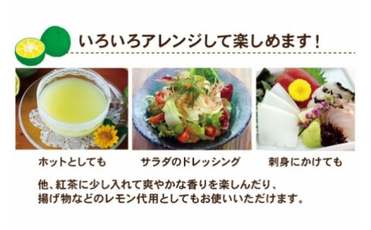 沖縄県産100％シークヮーサー12本(AS010-1)