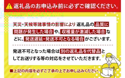 【2026年6月下旬より順次発送】マンゴーの里！豊見城市産♪あま?い♪アップルマンゴー 約2kg(3～6玉)(家庭用)｜マンゴー アップルマンゴー フルーツ 果物 くだもの 先行予約 沖縄 おきなわ 沖縄県 豊見城市 先行予約(BV007-1)