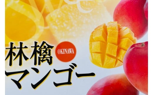 【2026年6月下旬より順次発送】★数量限定★沖縄県最優秀県知事賞に3度輝いた! ★秀品★沖縄マンゴー約1kg(2?3玉)｜マンゴー 果物 フルーツ くだもの 先行予約 沖縄 沖縄フルーツ 秀品 数量限定 沖縄県 沖縄県産 豊見城市(BV008-1)