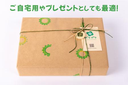 パイナップルの3点食器セット｜食器 やちむん 皿 箸置き 沖縄県 豊見城市（DD026）