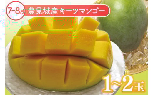 【6回定期便】人気！沖縄フルーツ定期便(年6回)｜フルーツ 果物 くだもの マンゴー キーツマンゴー アップルマンゴー パッションフルーツ スターフルーツ ドラゴンフルーツ バナナ 完熟 沖縄フルーツ 沖縄 沖縄県 豊見城市 人気 名護パイン園 定期便 送料無料(AC020)