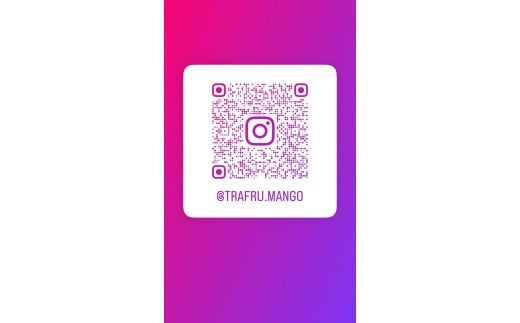 【2026年6月下旬より順次発送】【Rouge Bell】アップルマンゴー 約800g以上(2玉)｜マンゴー アップルマンゴー フルーツ 果物 くだもの 先行予約 贈り物 プレゼント お土産 ギフト 贈答用 沖縄 おきなわ 沖縄県 豊見城市(BV011)