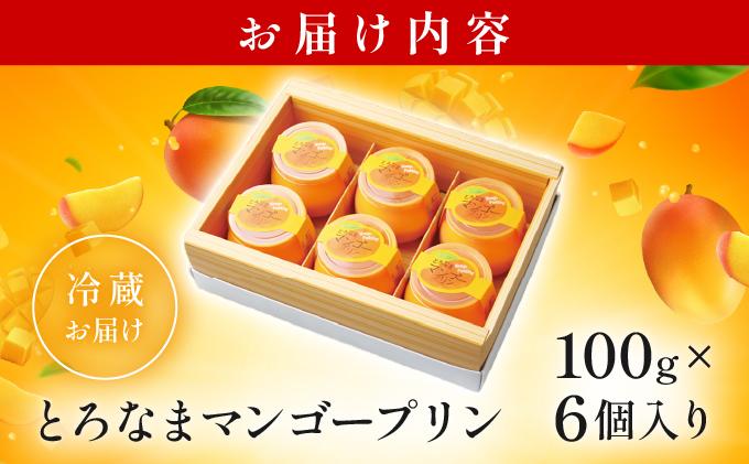 とろなまマンゴープリン(100g×6個入り) AC016-1