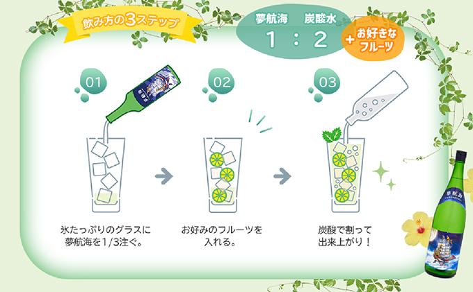 《YouTubeで紹介されました》ちゃんぽんちからさん絶賛！夢航海 一升パック 6本セット (BY012)