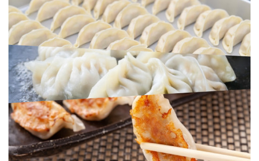 新琉流生餃子 計80個(20個入り×4パック)｜餃子 ぎょうざ ギョウザ 工場直売 国産 簡単 生餃子 生ぎょうざ おきなわ 沖縄 沖縄県 豊見城市 人気 送料無料(AY006)