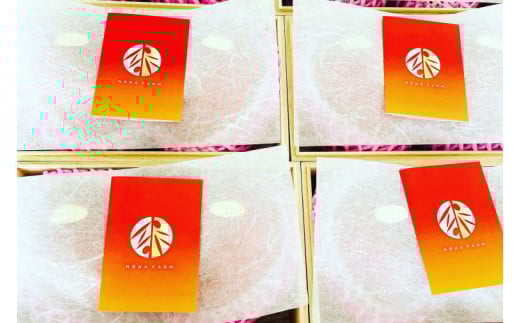 【2026年6月下旬より順次発送】★数量限定★沖縄県最優秀県知事賞に3度輝いた！★桐箱★沖縄マンゴー大玉 約1kg(約500g×2玉)｜マンゴー フルーツ 果物 くだもの 先行予約 贈り物 プレゼント お土産 ギフト 贈答用 沖縄 おきなわ 沖縄県 豊見城市(BV004)