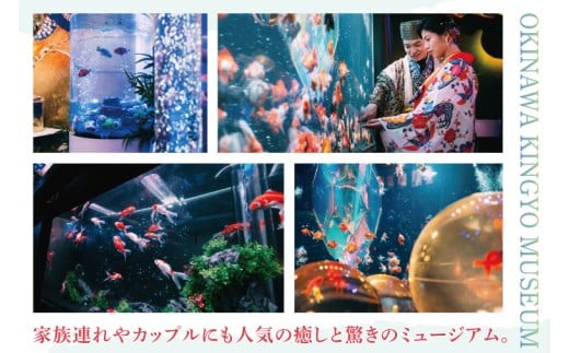 沖縄金魚ミュージアム入場券　幼児1名｜観光 チケット 沖縄金魚ミュージアム 金魚 あしびなー 沖縄 豊見城（DN003）