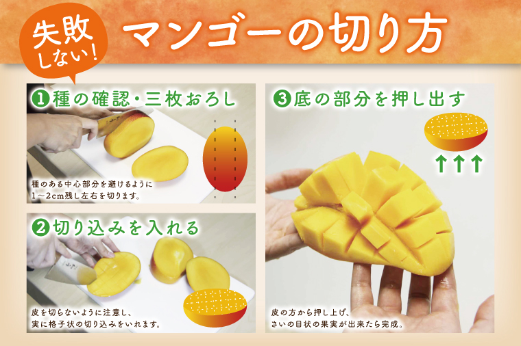 【2026年6月より順次発送】【訳あり】菜々色畑のアーウィンマンゴー 3～6玉(約1.5kg)【白箱】 ご家庭用｜マンゴー アーウィンマンゴー アーウィン フルーツ 果物 くだもの おきなわマンゴー おきなわ 沖縄県 豊見城市 家庭用(AE012)