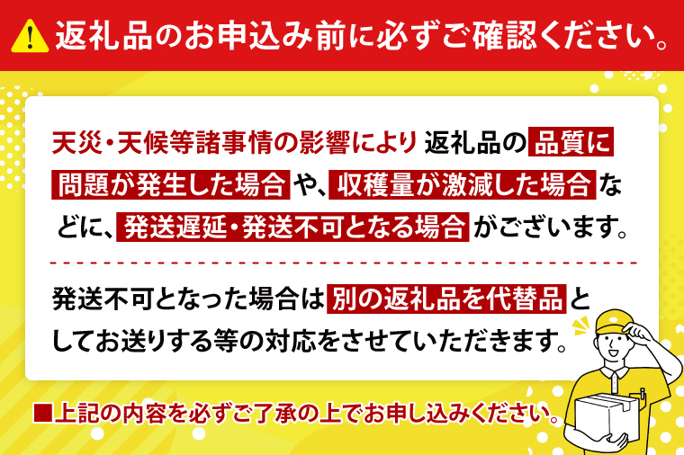 【2026年6月下旬より順次発送】★数量限定★沖縄県最優秀県知事賞に3度輝いた! ★秀品★沖縄マンゴー約1kg(2〜3玉)｜マンゴー 果物 フルーツ くだもの 先行予約 沖縄 沖縄フルーツ 秀品 数量限定 沖縄県 沖縄県産 豊見城市(BV008-1)