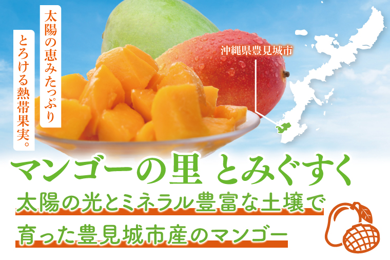 【2026年6月より順次発送】【訳あり】菜々色畑のアーウィンマンゴー 3～5玉(約2kg)【白箱】 ご家庭用｜マンゴー アーウィンマンゴー アーウィン フルーツ 果物 くだもの おきなわマンゴー おきなわ 沖縄県 豊見城市 家庭用(AE011)