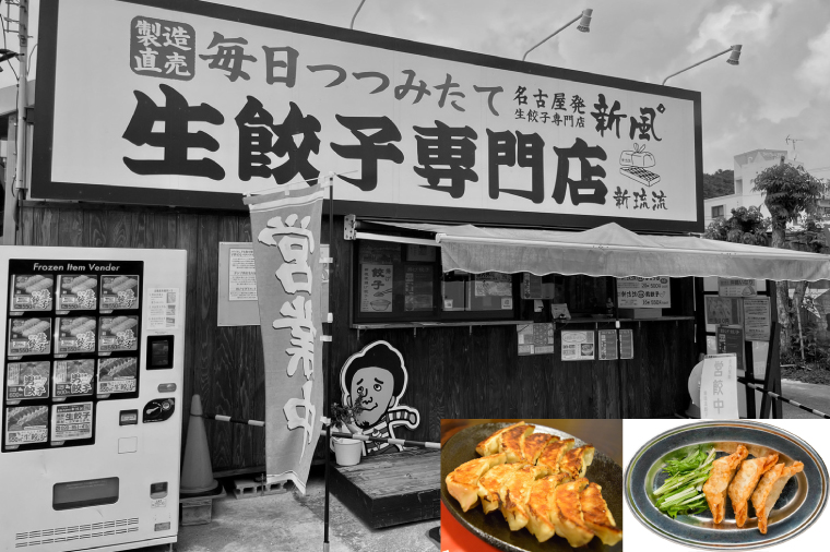 新琉流生餃子 計80個(20個入り×4パック)｜餃子 ぎょうざ ギョウザ 工場直売 国産 簡単 生餃子 生ぎょうざ おきなわ 沖縄 沖縄県 豊見城市 人気 送料無料(AY006)