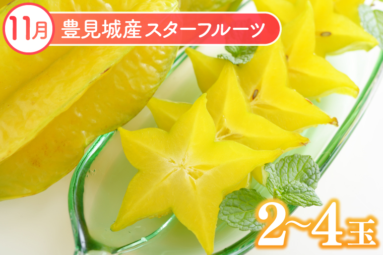 【2026年6月より順次発送】【6ヶ月定期便】沖縄フルーツ定期便(6～11月コース)｜フルーツ くだもの 果物 スターフルーツ マンゴー アップルマンゴー ミニマンゴー キーツマンゴー ドラゴンフルーツ バナナ 名護パイン園 定期便 フルーツ定期便 沖縄フルーツ おきなわ 沖縄県 豊見城市(AC019)