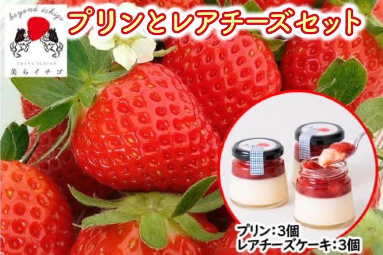 ごろっとイチゴとなめらかプリン&ごろっとイチゴとレアチーズセット｜プリン ぷりん ケーキ スイーツ デザート イチゴ いちご 苺 レアチーズケーキ チーズケーキ プレゼント ギフト 贈り物 人気 沖縄 沖縄県 豊見城市(AX002-1)