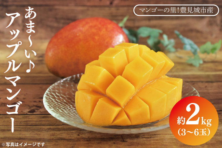 【2026年6月下旬より順次発送】マンゴーの里！豊見城市産♪あま〜い♪アップルマンゴー 約2kg(3～6玉)(家庭用)｜マンゴー アップルマンゴー フルーツ 果物 くだもの 先行予約 沖縄 おきなわ 沖縄県 豊見城市 先行予約(BV007-1)