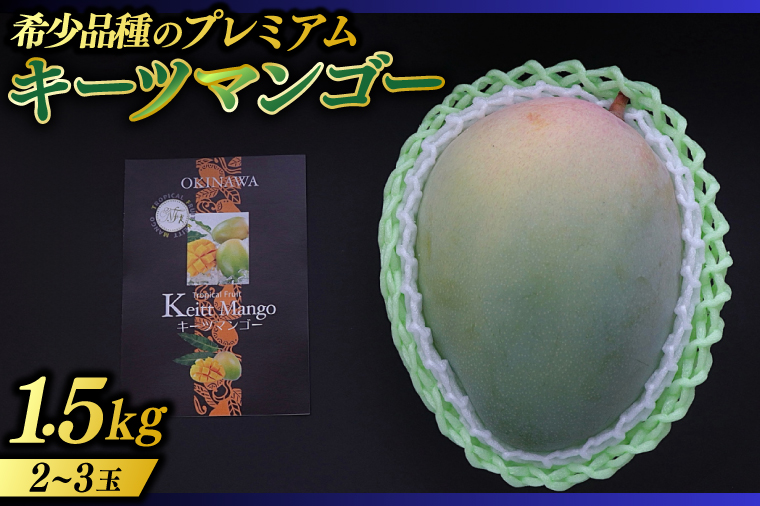 【2026年8月より順次発送】稀少プレミアム！！豊見城市産キーツマンゴー 約1.5kg(2〜3玉)｜マンゴー キーツマンゴー フルーツ 果物 くだもの 先行予約 沖縄 おきなわ 沖縄県 豊見城市(BV001-1)