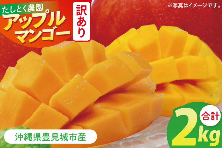【2026年6月下旬より順次発送】★訳あり★沖縄県豊見城市産アップルマンゴー 約2kg｜マンゴー アップルマンゴー 訳あり わけあり フルーツ くだもの 果物 先行予約 数量限定 おきなわ 沖縄 沖縄フルーツ 豊見城市(DJ002)