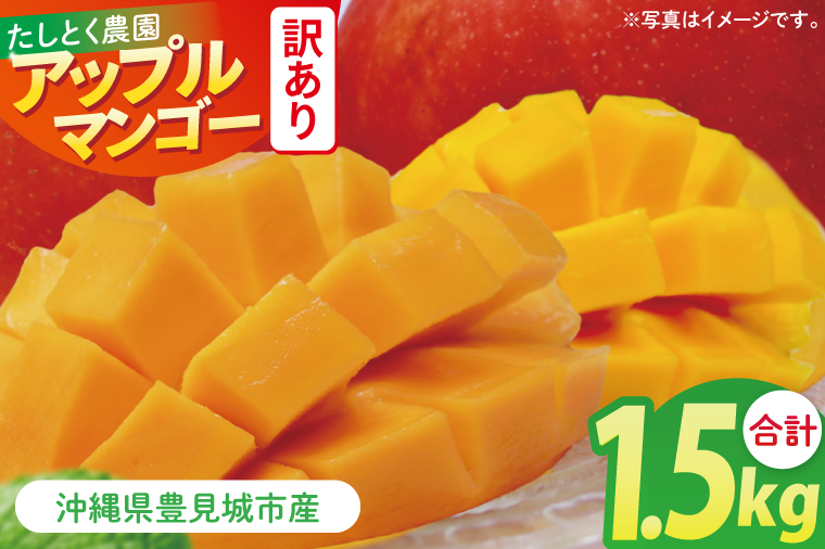 【2026年6月下旬より順次発送】★訳あり★沖縄県豊見城市産アップルマンゴー 約1.5kg｜マンゴー アップルマンゴー 訳あり わけあり フルーツ くだもの 果物 先行予約 数量限定 おきなわ 沖縄 沖縄フルーツ 豊見城市(DJ006)