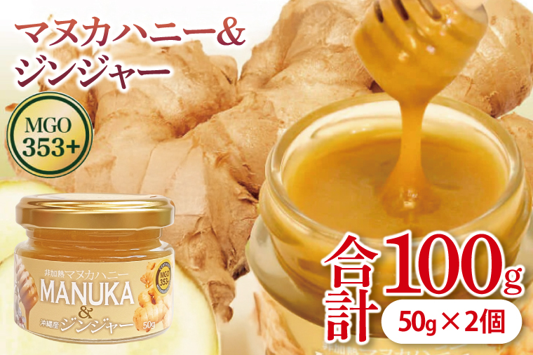マヌカハニー＆沖縄県産ジンジャー 50g×2個｜はちみつ ハチミツ 蜂蜜 マヌカハニー ジンジャー 生姜 ビタミン お土産 ギフト プレゼント お祝い 人気 沖縄 沖縄県 豊見城市(DK006)