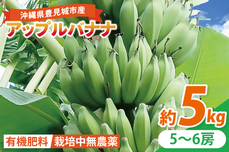 アップルバナナ 約5kg｜バナナ ばなな アップルバナナ フルーツ くだもの 果物 沖縄フルーツ 有機肥料 沖縄 沖縄県 豊見城市(DL004)