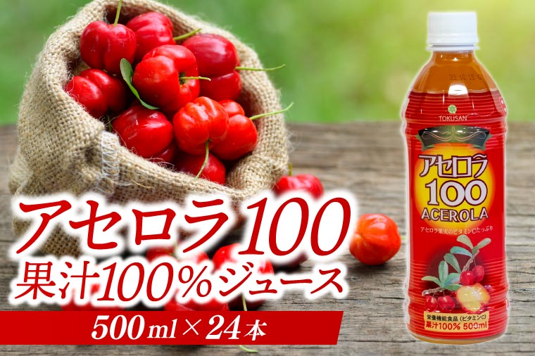 アセロラ100 ストレート100%ジュース(500ml×24本)｜アセロラ フルーツ 果物 くだもの アセロラジュース ジュース フルーツジュース ストレート 果汁 沖縄県 おきなわ 豊見城市(AD004)